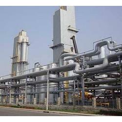 甘肅廠家直銷 批發供應，網絡營銷新篇章